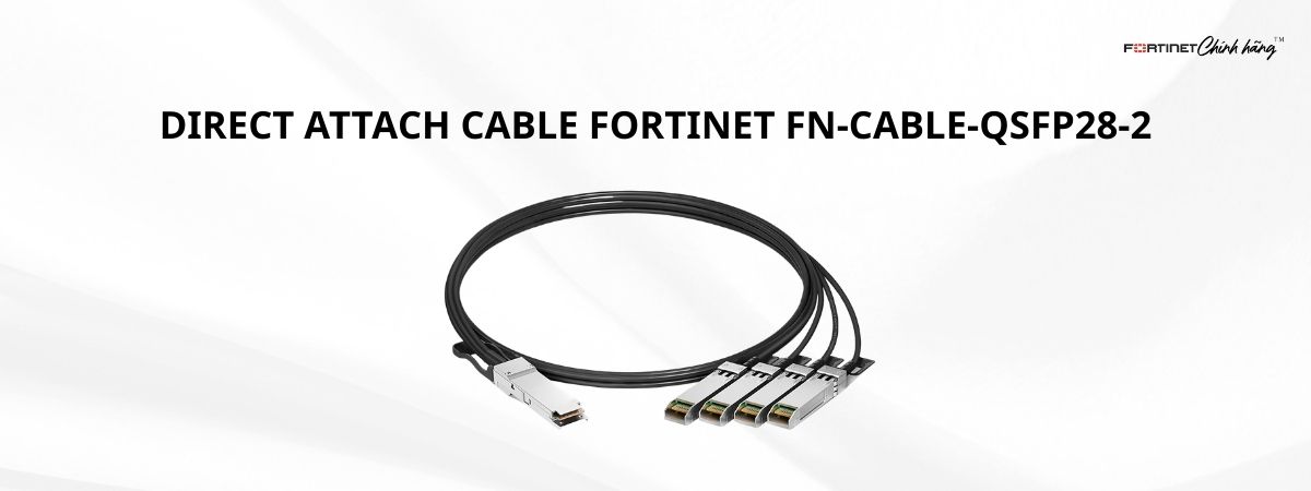 Cáp FN-CABLE-QSFP28-2
