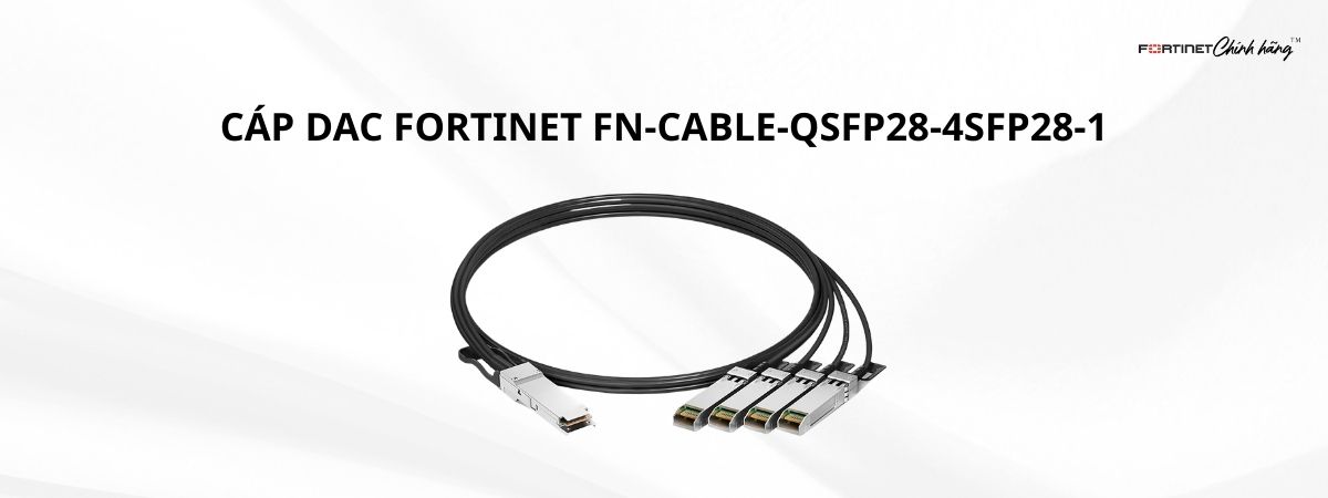 Cáp FN-CABLE-QSFP28-4SFP28-1