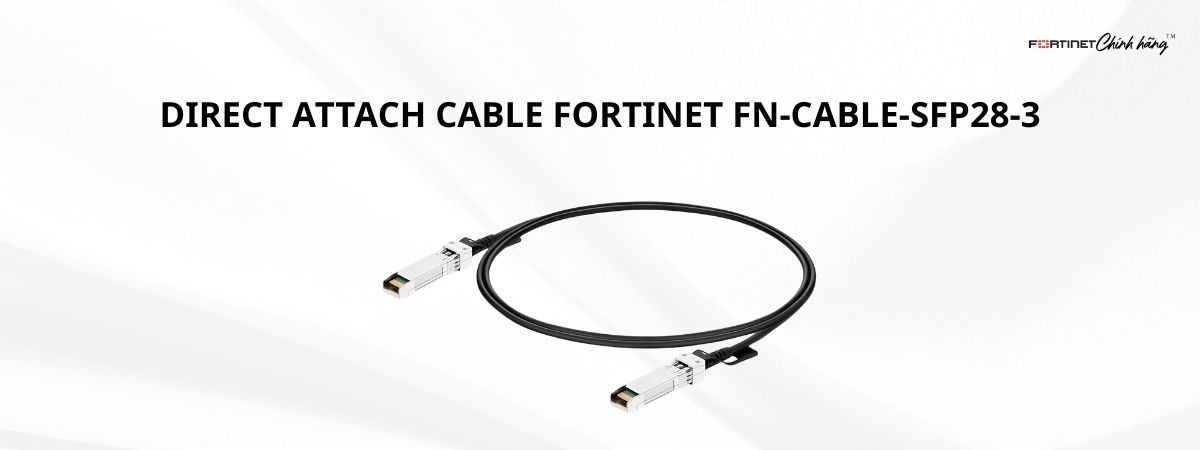 Cáp FN-CABLE-SFP28-3
