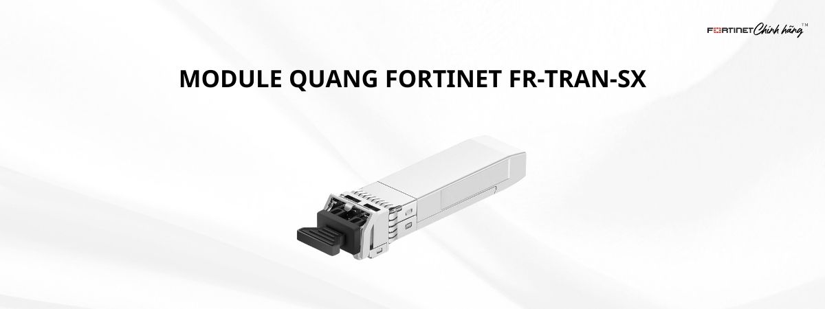 Module FR-TRAN-SX